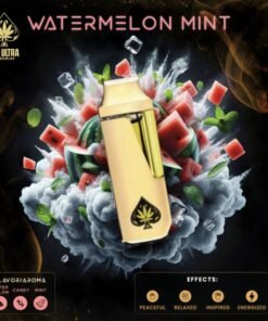 ace ultra premium 2g disposable price