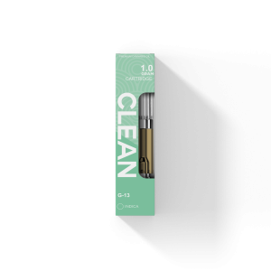 G13